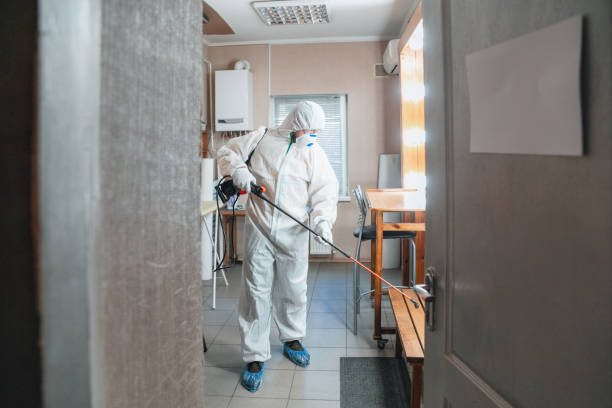 Mold Remediation for Rental Properties in Greensboro, AL