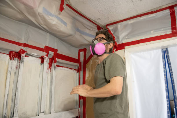 Mold Odor Removal Services in Greensboro, AL