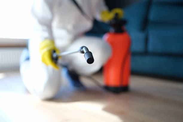 Mold Remediation for Vacation Homes in Greensboro, AL